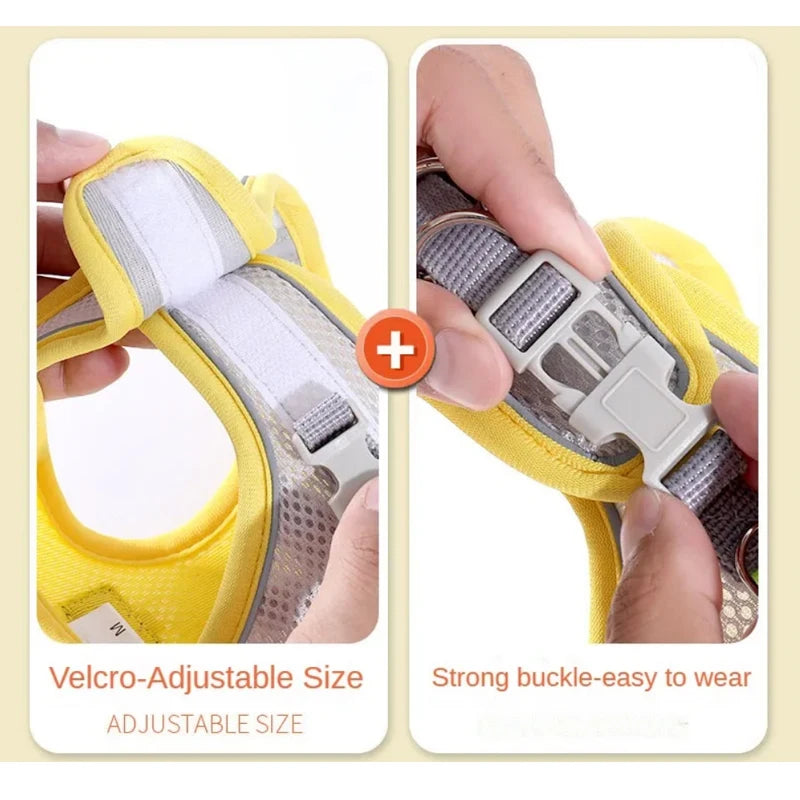 Adjustable buckle and straps on a reflective dog harness